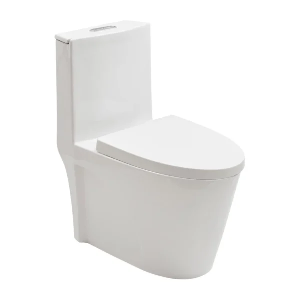 Vaso Sanitário Monobloco Painita - Image 2