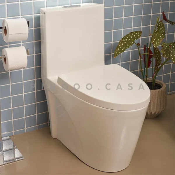 Vaso Sanitário Monobloco Painita